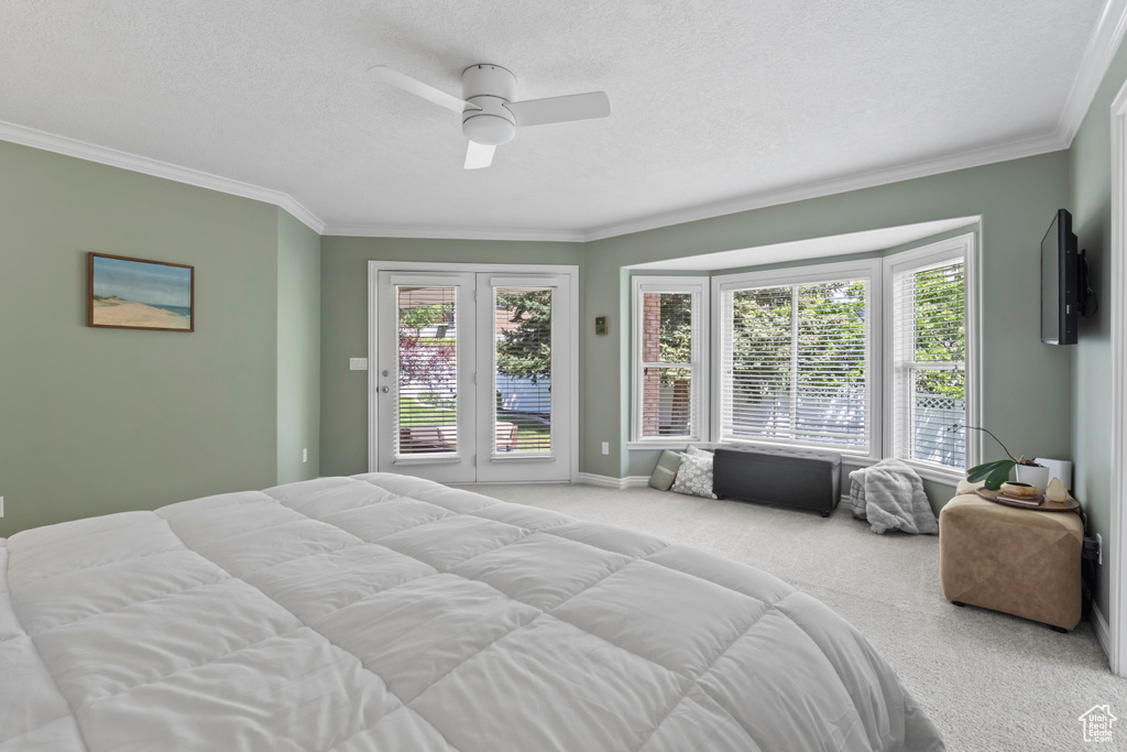 Bedroom with carpet, crown molding, access to exterior, ceiling fan, and a textured ceiling