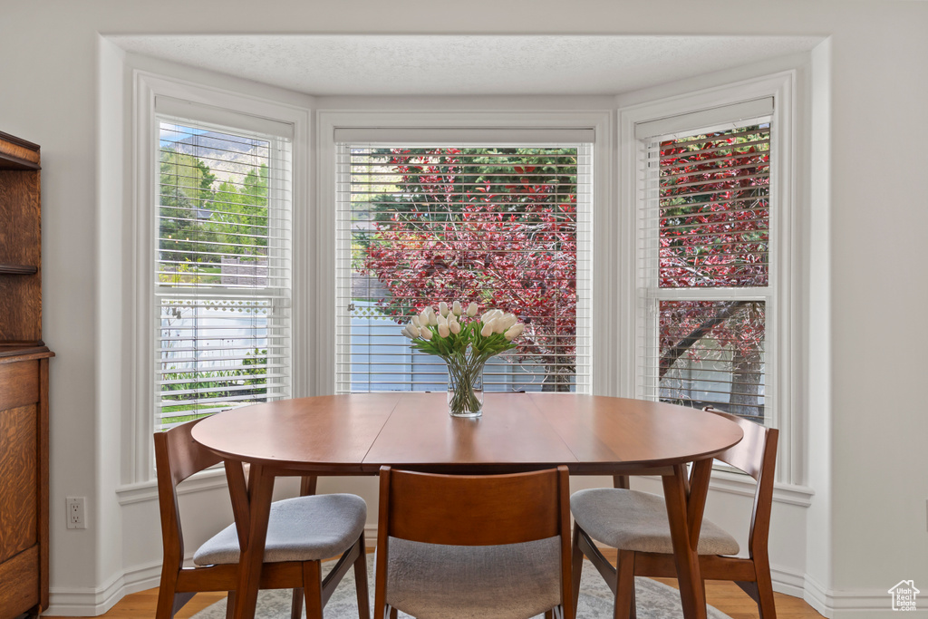 Dining room featuring baseboards and light wood-style floors