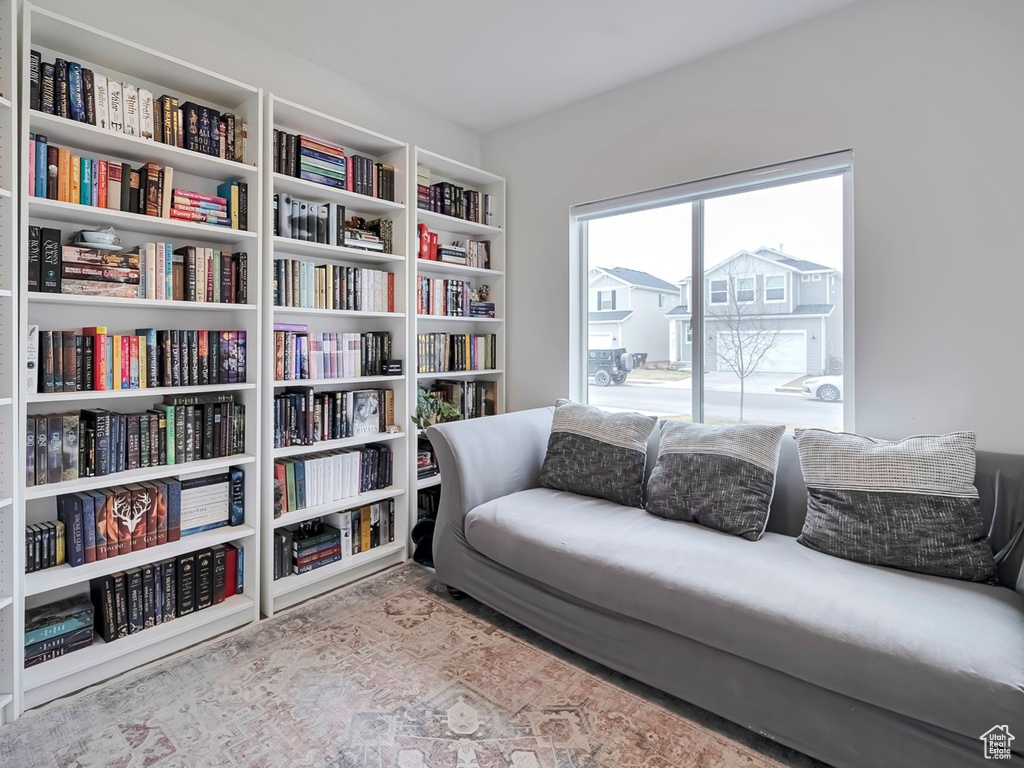 Living area with bookshelves