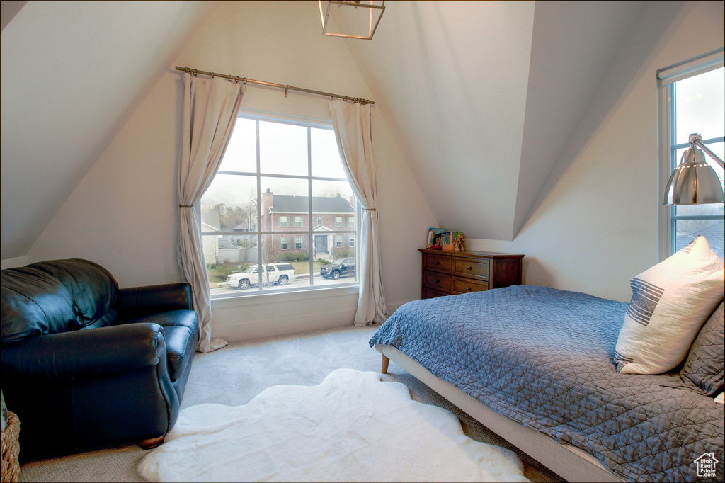 Carpeted bedroom featuring lofted ceiling and multiple windows