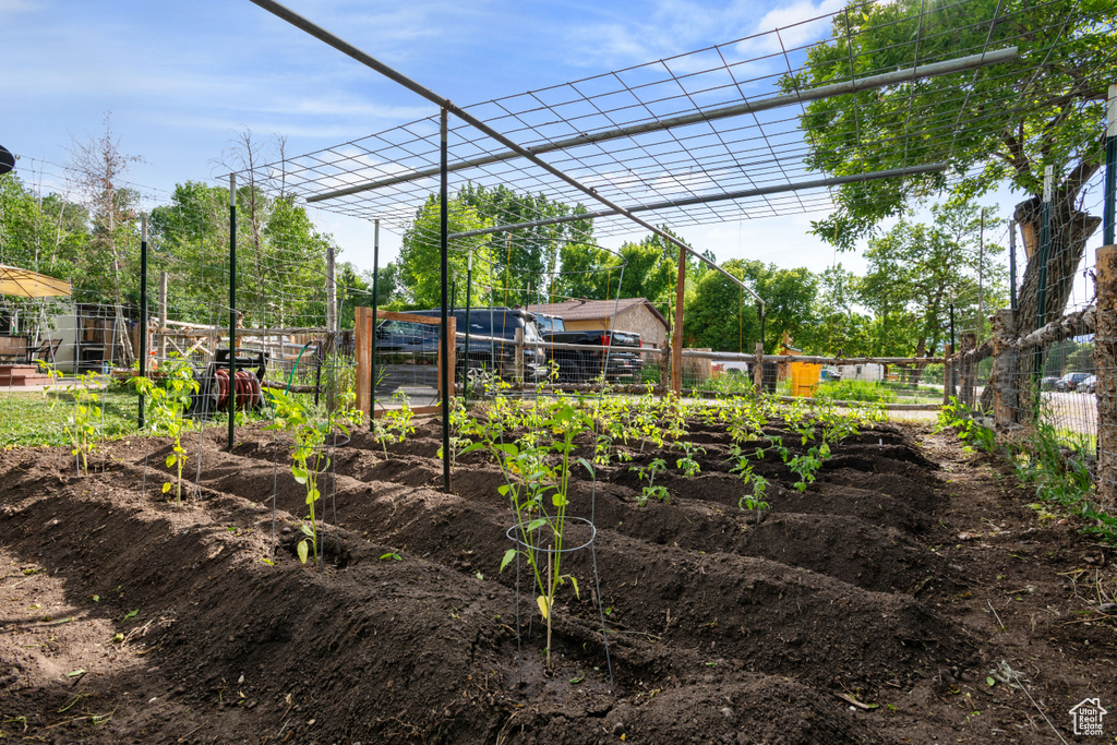View of yard featuring a vegetable garden