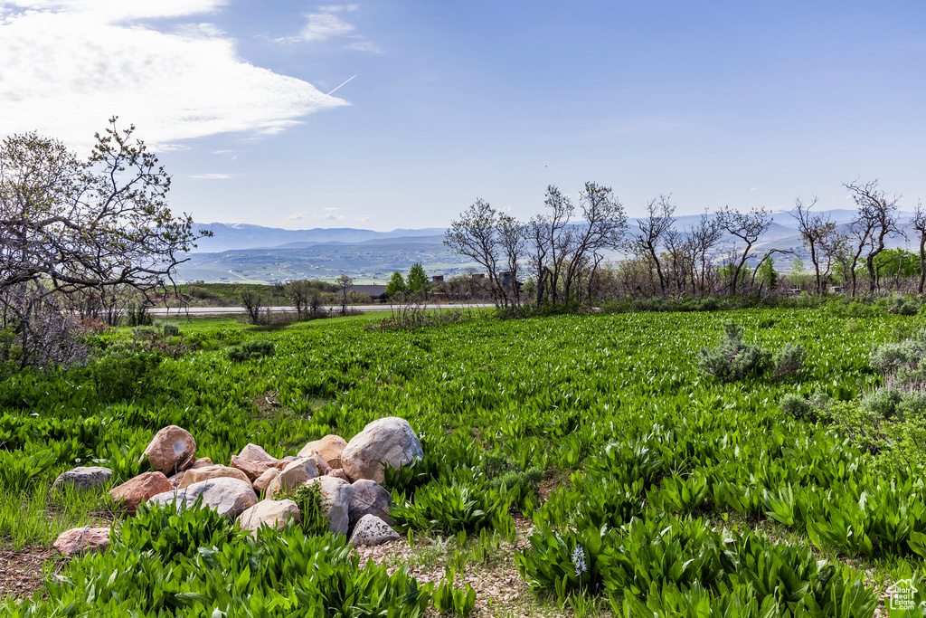 View of yard with a mountain view