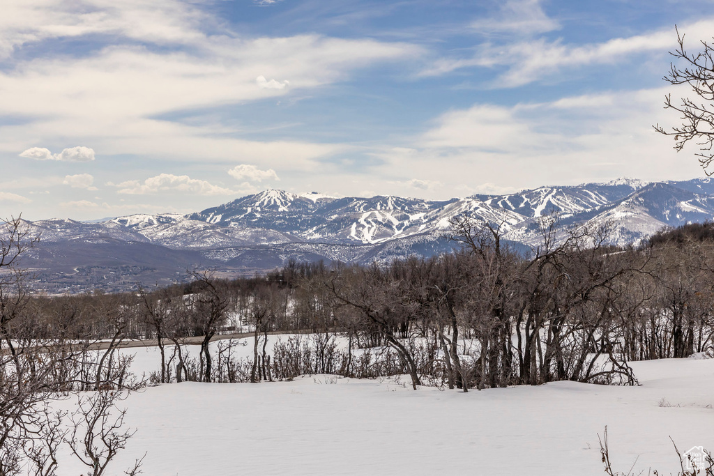 View of mountain backdrop