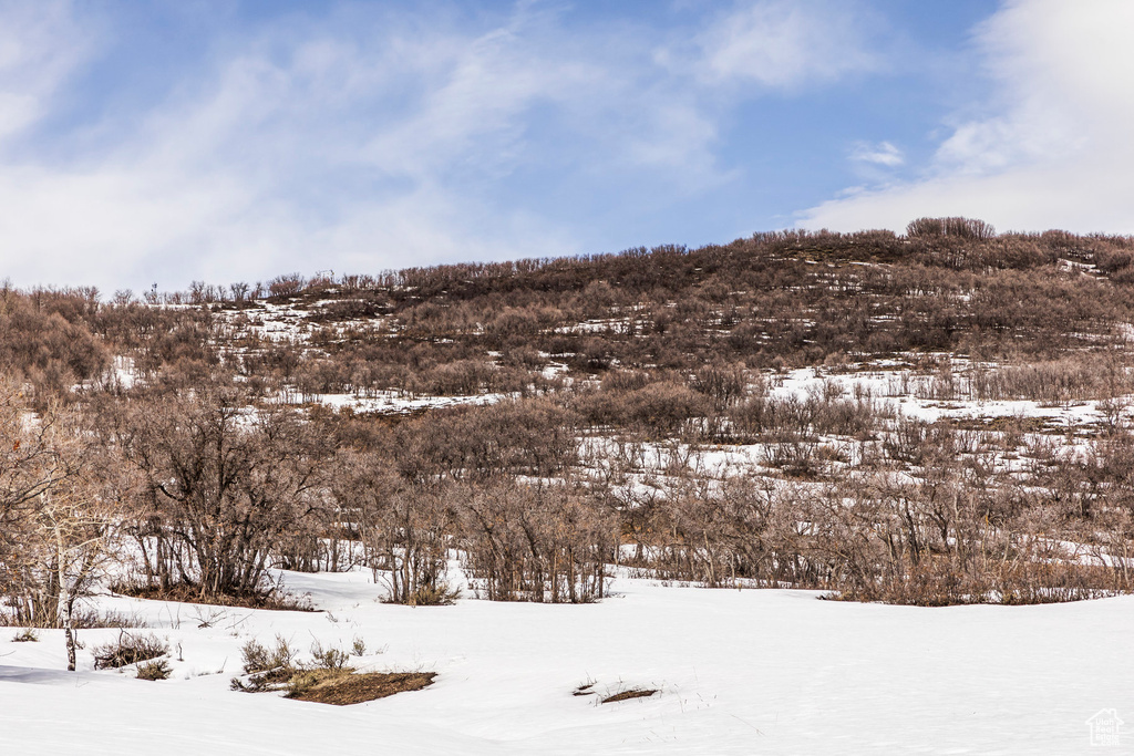 View of mountain backdrop