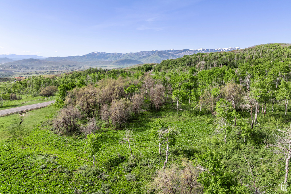View of mountain backdrop with a forest