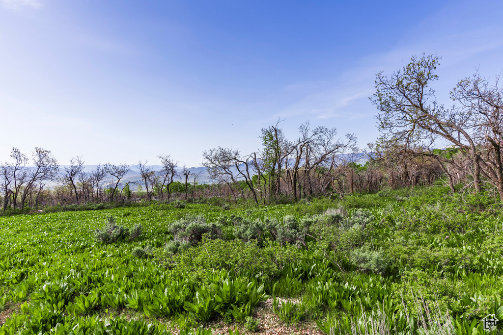 View of undeveloped land featuring a mountain backdrop