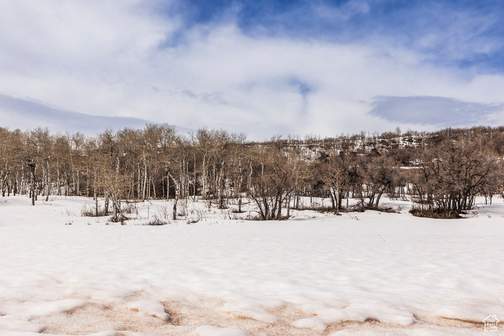 View of yard covered in snow