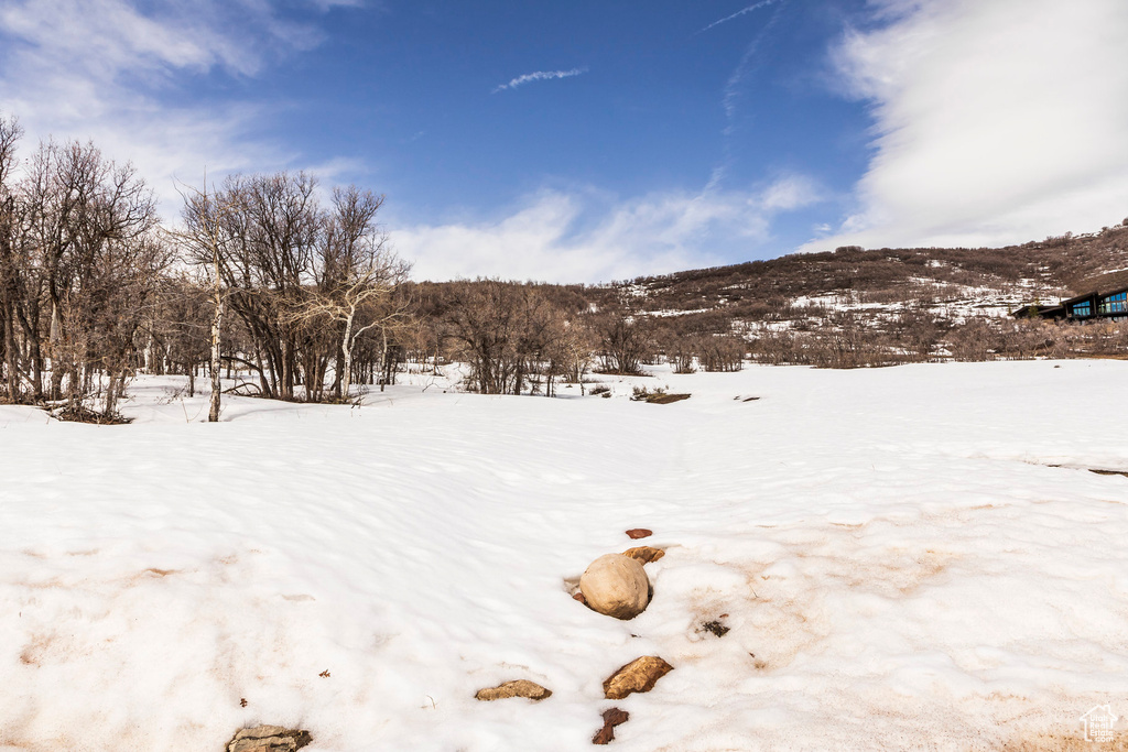 Yard covered in snow with a mountain view