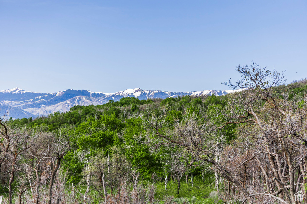 View of mountain background featuring a forest