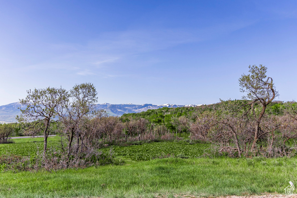 View of mountain background