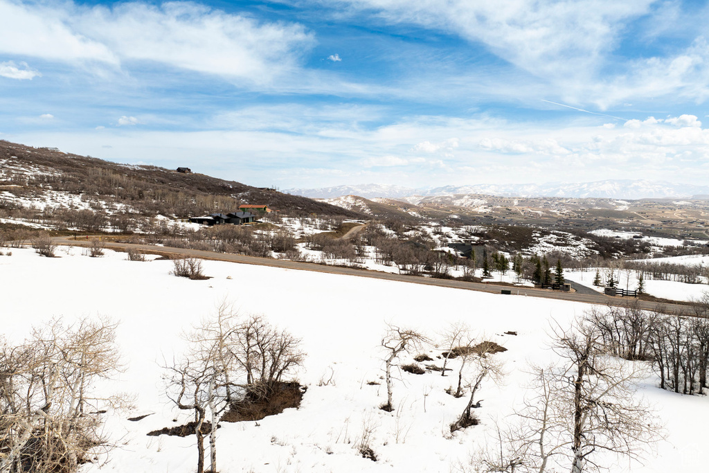 Mountain view