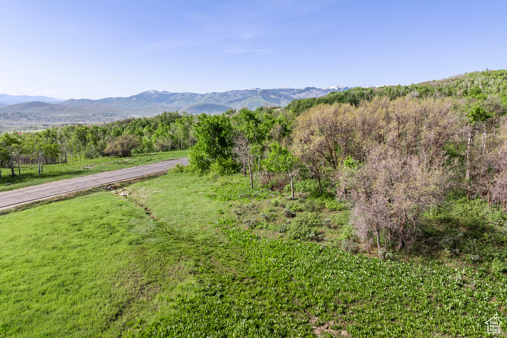 View of mountain background featuring a heavily wooded area