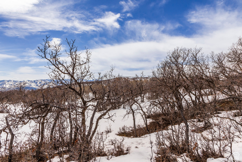 View of mountain backdrop