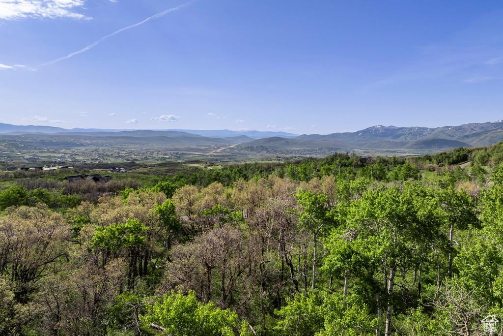 Mountain view featuring a heavily wooded area