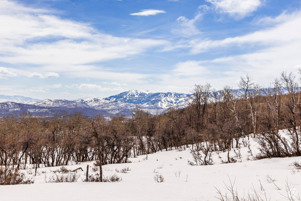 View of mountain backdrop