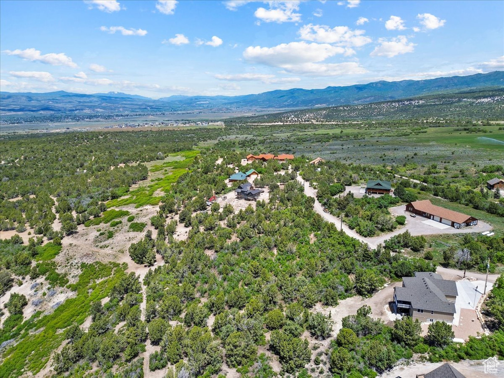 Drone / aerial view of mountains