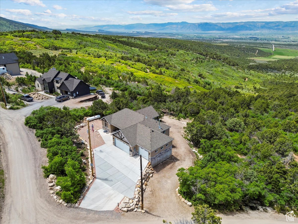 Drone / aerial view of a forest and a mountain backdrop