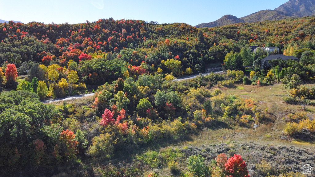 Mountain view with a wooded view