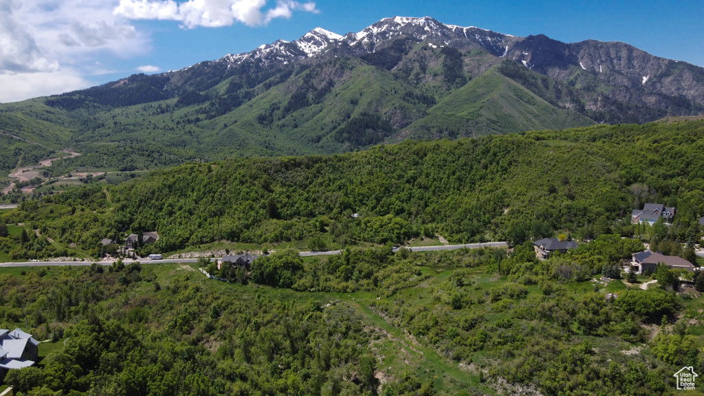 View of mountain feature featuring a forest view
