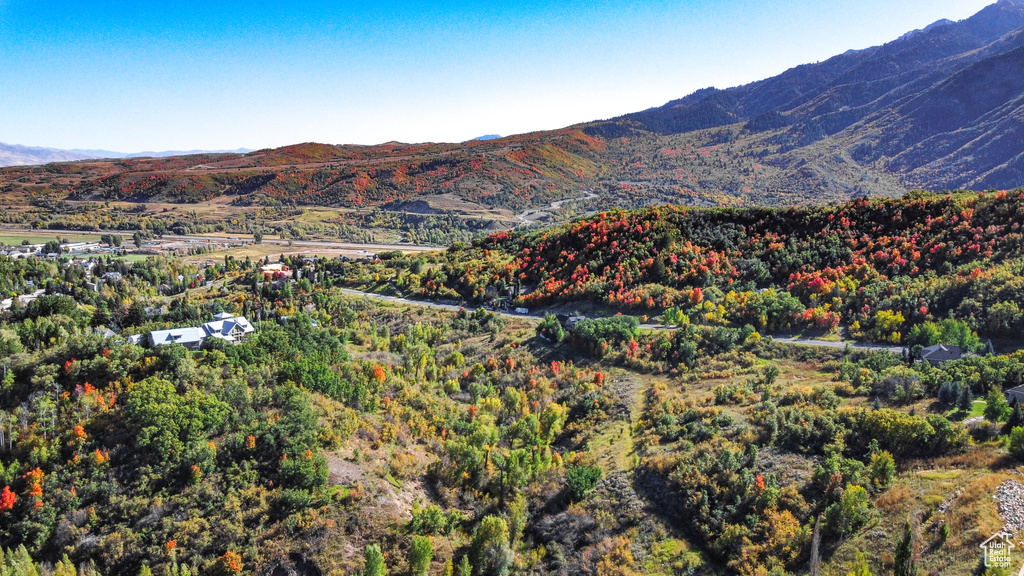 Mountain view
