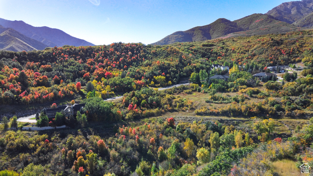 Mountain view featuring a forest view