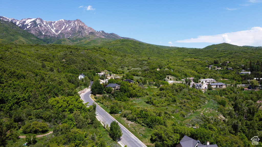 Bird's eye view featuring a forest view and a mountain view