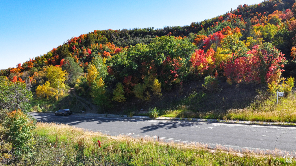 View of road featuring a forest view