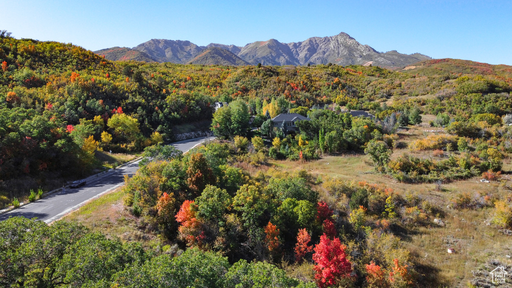 Property view of mountains featuring a forest view