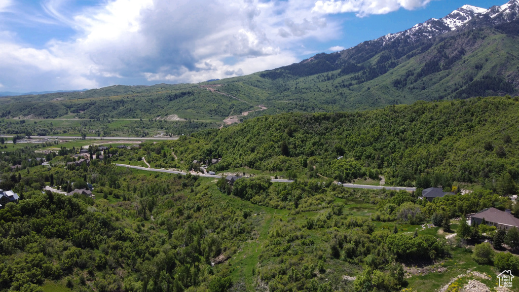 Property view of mountains with a wooded view