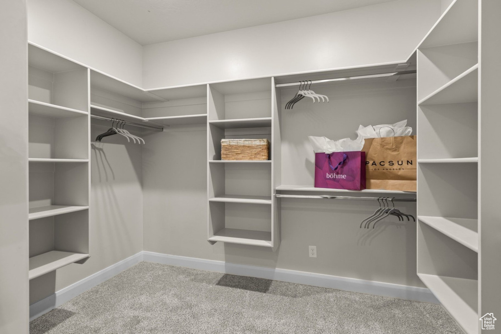 Spacious closet featuring carpet floors