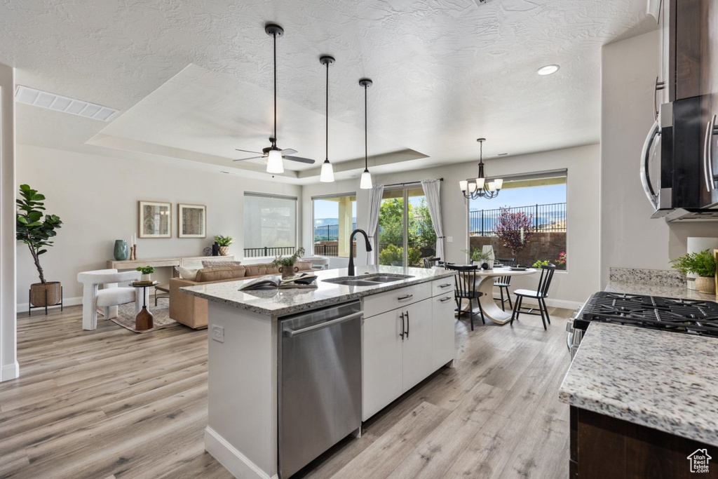 Kitchen featuring appliances with stainless steel finishes, a sink, a tray ceiling, light wood-style floors, and ceiling fan