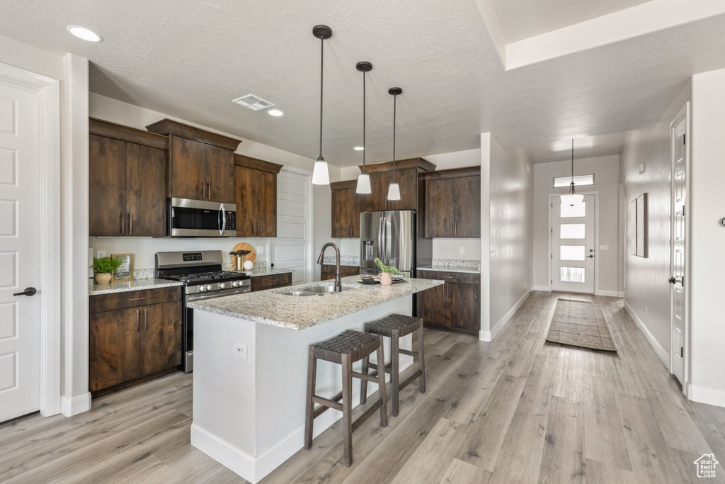Kitchen with stainless steel appliances, a sink, light wood-type flooring, dark brown cabinetry, and recessed lighting