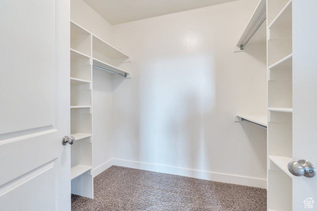 Spacious closet with carpet