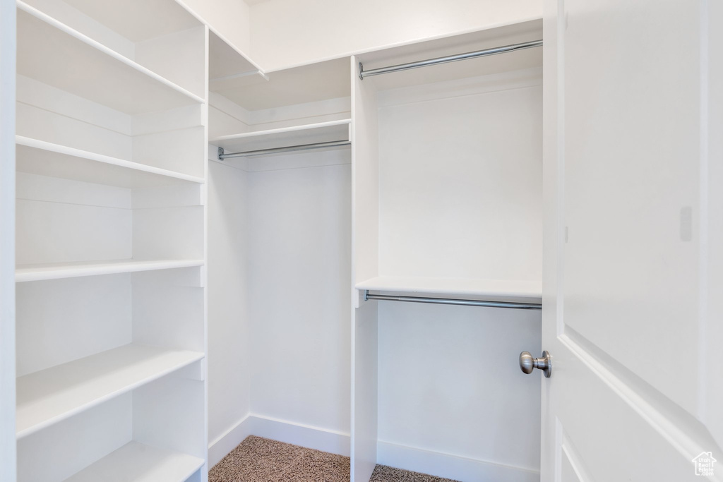 Walk in closet with carpet floors