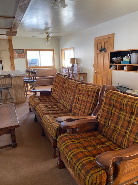 913 E 5300 N Scofield, UT 84526