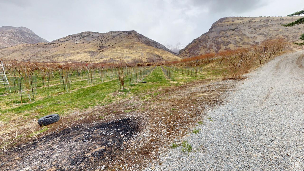 View of mountain feature featuring a rural view