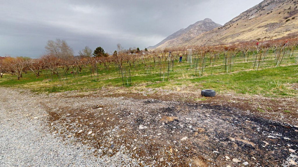 View of yard featuring a rural view, a mountain view, and fence