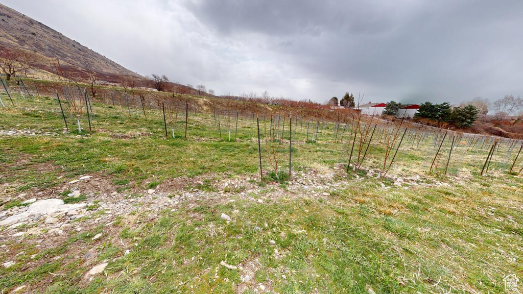 View of yard with fence and a rural view