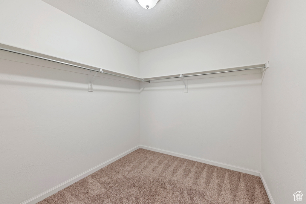 Walk in closet featuring carpet flooring