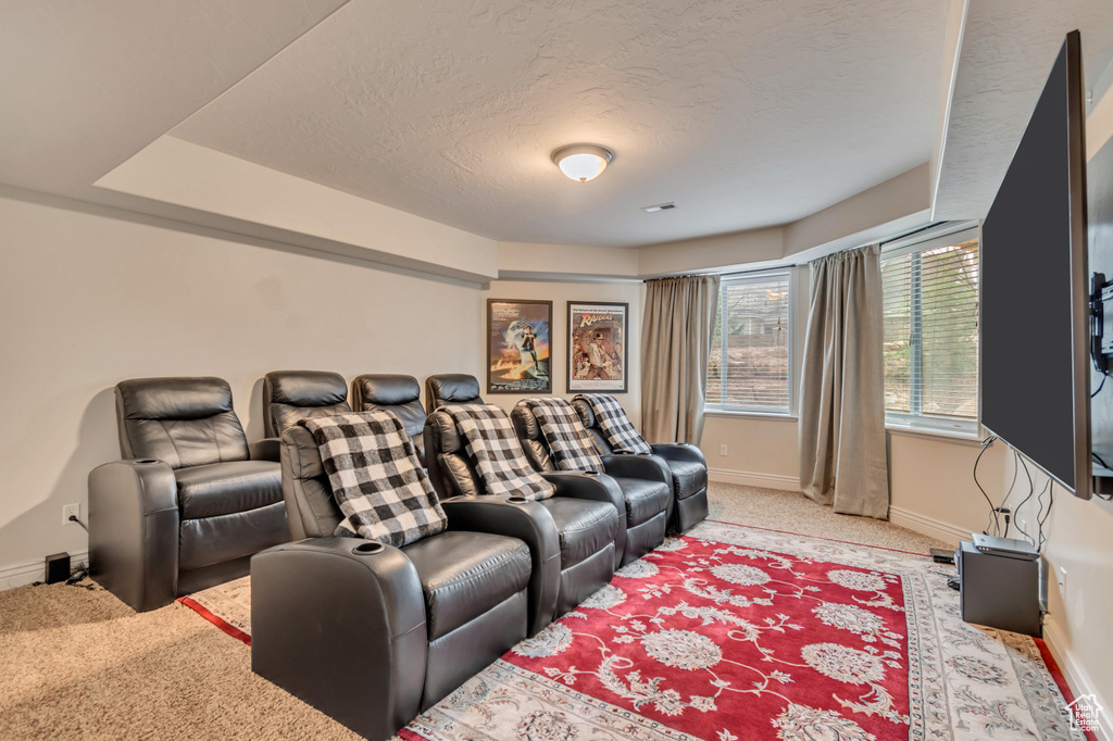 Cinema room with light colored carpet, baseboards, and a textured ceiling
