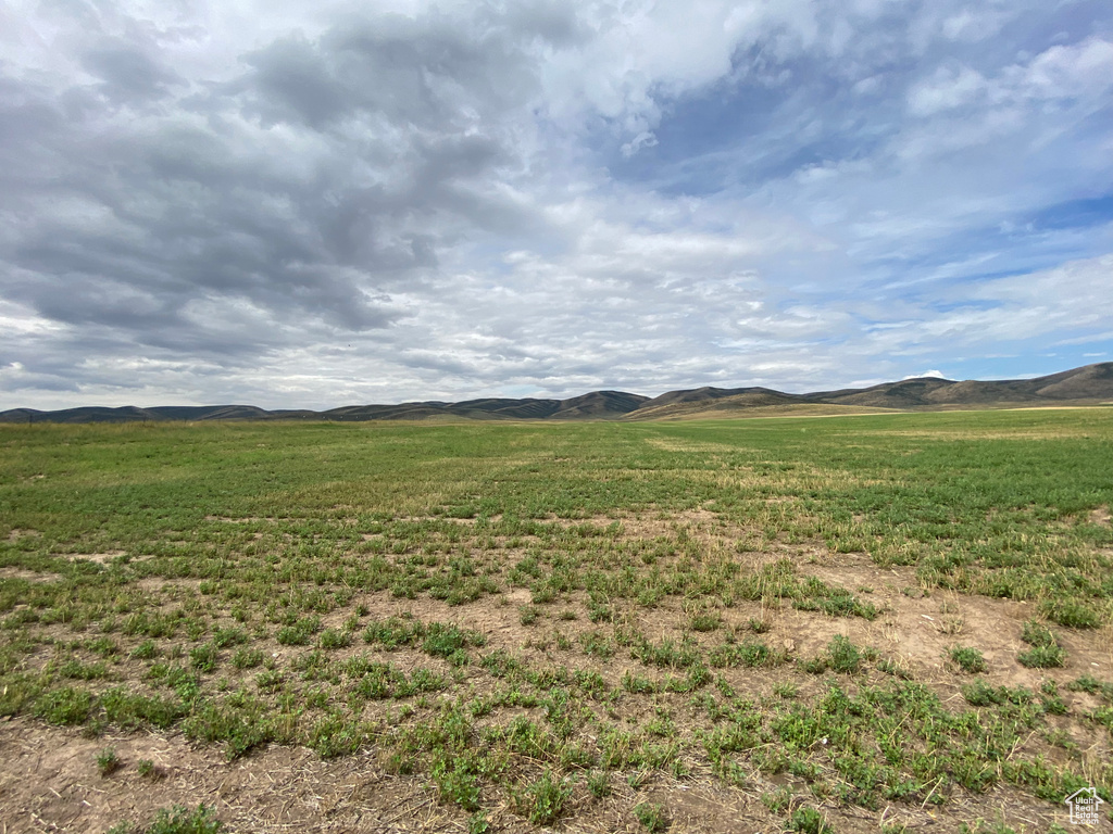 View of yard with a mountain view