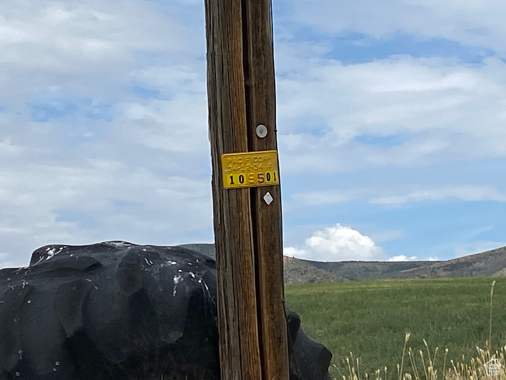 Details featuring a mountain view