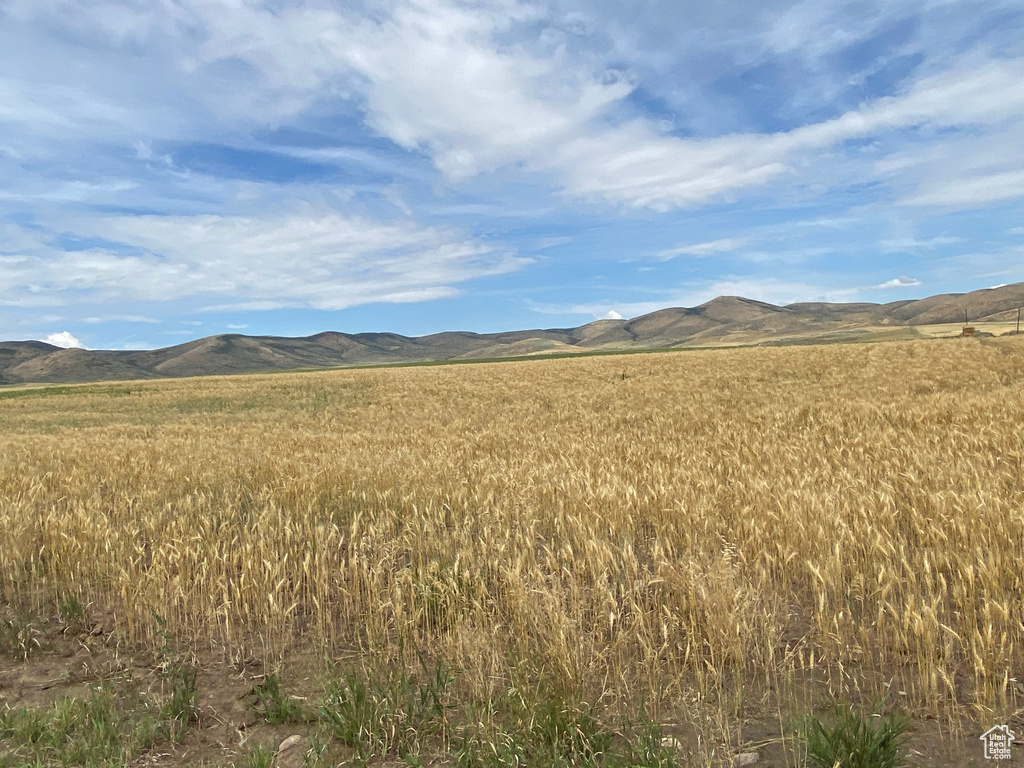 Mountain view featuring a rural view