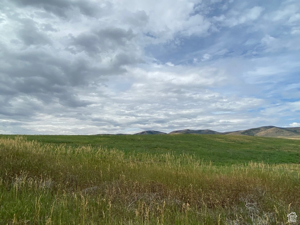 View of local wilderness featuring a mountain view