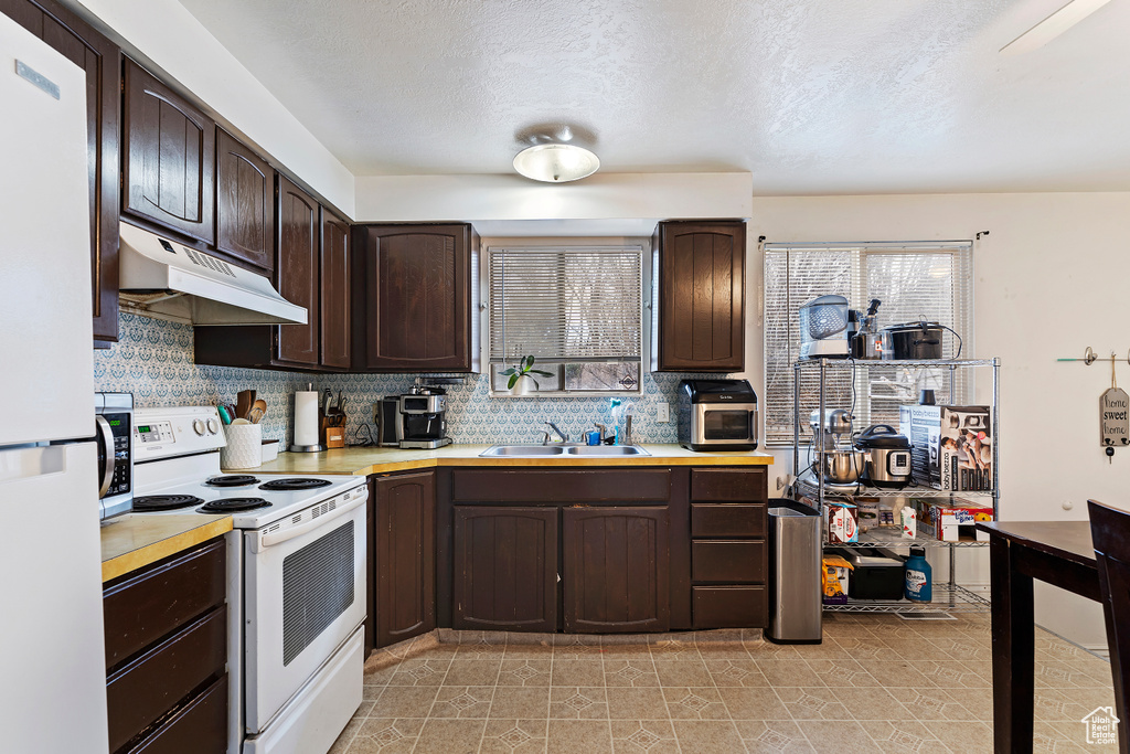 Kitchen featuring white appliances, light countertops, under cabinet range hood, and a wealth of natural light