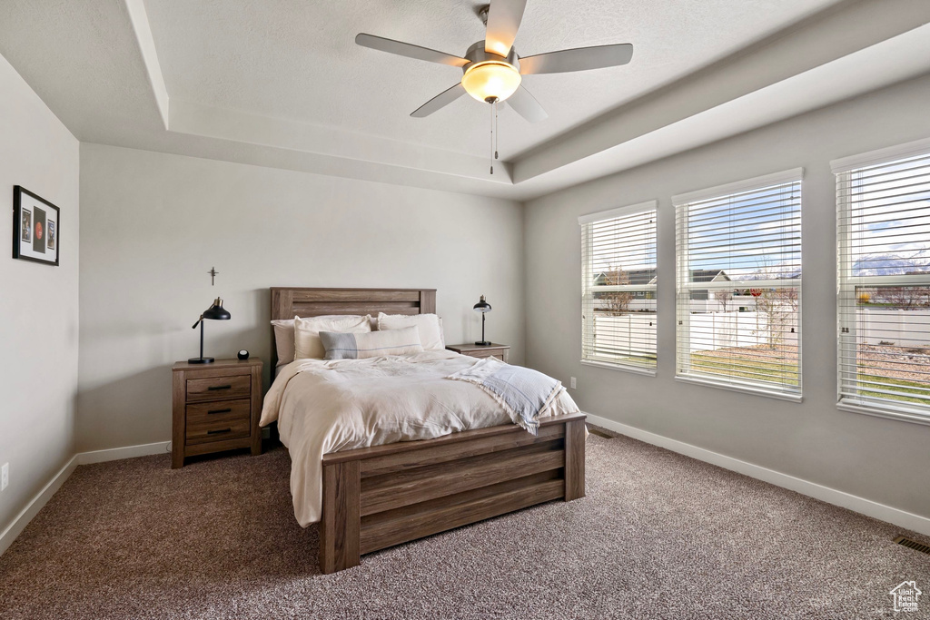 Carpeted bedroom with a ceiling fan, a raised ceiling, and baseboards
