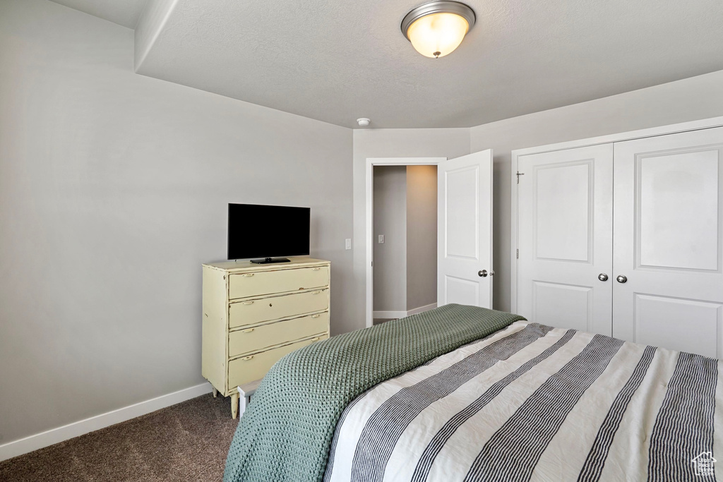 Bedroom with baseboards, a closet, and carpet