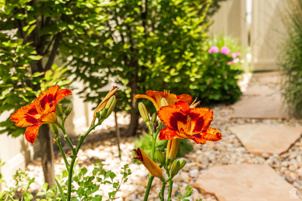 14902 S FAWLEY LN Herriman, UT 84096