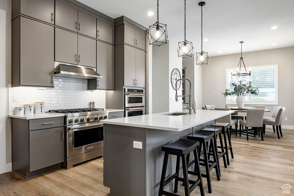 Kitchen featuring a sink, light wood finished floors, appliances with stainless steel finishes, and under cabinet range hood
