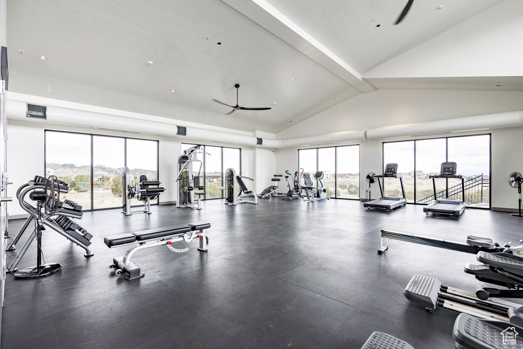 Gym with plenty of natural light, a ceiling fan, and lofted ceiling